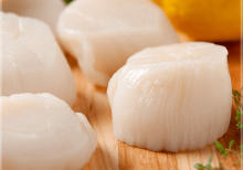 Cồi sò điệp Nhật